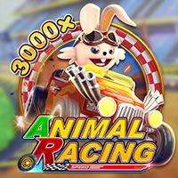 ANIMAL RACING
